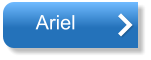 Ariel